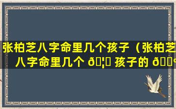 张柏芝八字命里几个孩子（张柏芝八字命里几个 🦄 孩子的 🐺 命运）